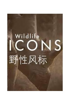 重量级人物具有意想不到的技能