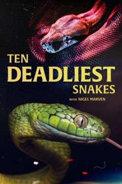 十大毒蛇第一季