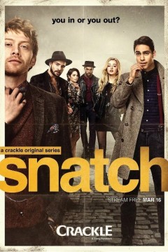 偷拐抢骗第一季