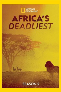 非洲致命动物第五季