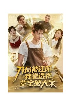 开局被诬陷，我靠透视鉴宝破大案