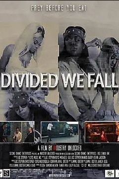 Divided We Fall