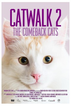 时装表演2：猫的回归