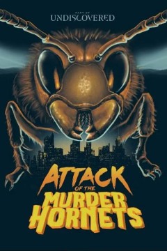 凶杀黄蜂队的进攻