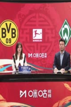 德甲联赛 多特蒙德VS云达不莱梅
