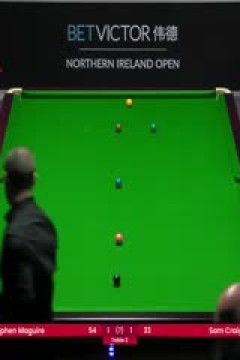 斯诺克斯蒂芬·马奎尔4-2山姆·克雷吉20231025