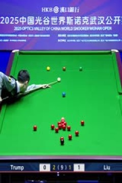 2025斯诺克武汉公开赛64进32贾德·特鲁姆普5-1刘宏宇20250825