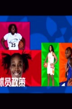 WCBA常规赛B组 武汉盛帆黄鹤VS河南豫光金铅 20241228