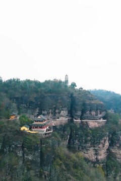 功夫萌宝神算爹