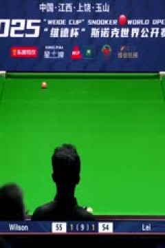 斯诺克玉山世界公开赛64进32雷佩凡1-5凯伦·威尔逊20250224