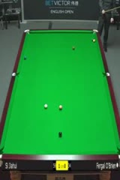 斯诺克斯佳辉4-0弗盖尔·奥布莱恩20231004