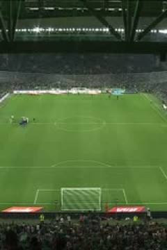 法甲联赛 圣埃蒂安VS图卢兹 20250518