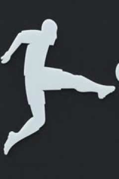 德甲联赛 奥格斯堡VS斯图加特 20250113