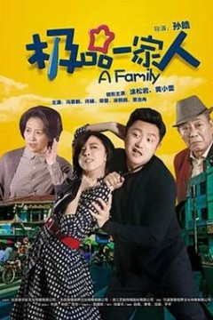 极品一家人