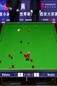 2025斯诺克西安大奖赛决赛第二阶段马克·威廉姆斯10-3肖恩·墨菲(柏林)20251013