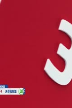 德甲联赛 勒沃库森VS沃尔夫斯堡 20240922