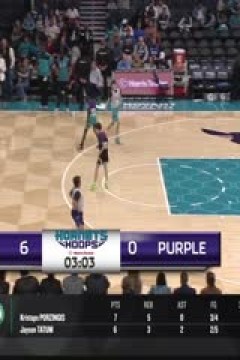 NBA常规赛 魔术VS黄蜂 20240406