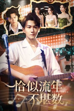 恰似流年不堪数