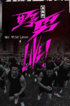 我推的野男LIVE！