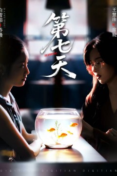 第七天