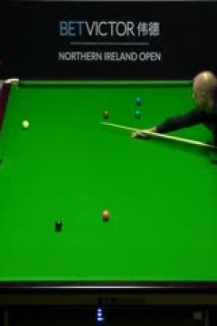 斯诺克罗比·威廉姆斯0-4巴里·霍金斯20231026