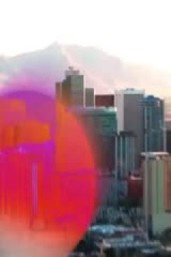 NBA常规赛 热火VS太阳 20241107