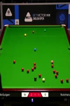 2025斯诺克英格兰公开赛罗比·麦圭根2-4明克·努查鲁特20250912