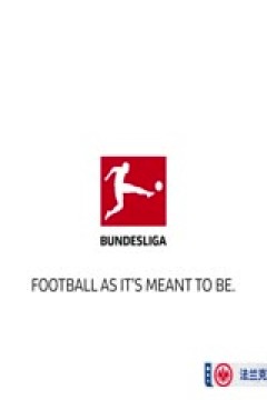 德甲联赛 法兰克福VS多特蒙德 20250118