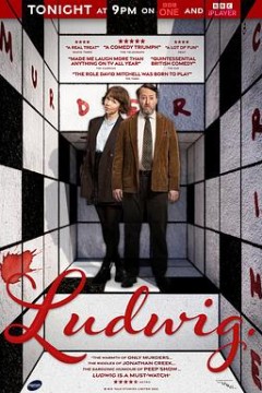 谜探路德维希第一季