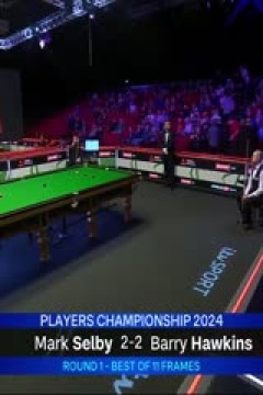 2024斯诺克球员锦标赛巴里·霍金斯3-6马克·塞尔比20240221