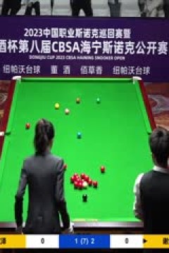 斯诺克吴宜泽4-3谢金桃20230519(李照)