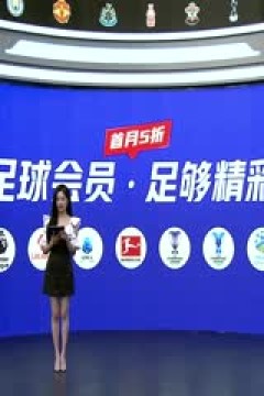 英超联赛 水晶宫VS利物浦 20241005