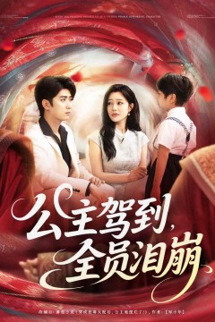 公主驾到全员泪崩