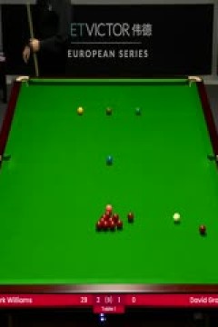 2023斯诺克德国大师赛资格赛马克·威廉姆斯5-3大卫·格雷斯20231218