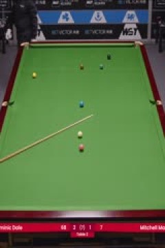 斯诺克威尔士公开赛资格赛多米尼克·戴尔4-3米歇尔·曼恩20250205