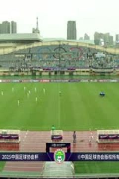 足协杯第二轮比赛 温州职业足球俱乐部VS大连鲲城 20250419