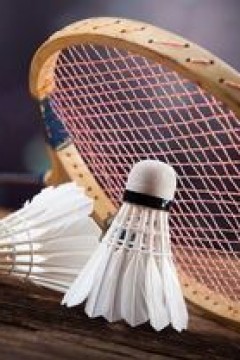 羽毛球混合双打小组赛B组：德差波_沙西丽2-0马梅里_坦纳