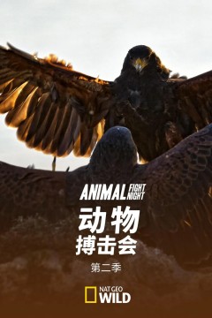 动物搏击会第二季