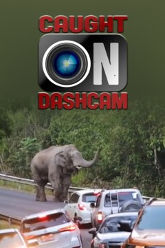 行车记录仪镜头第六季