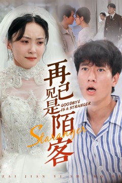 再见已是陌客(归来的星光)