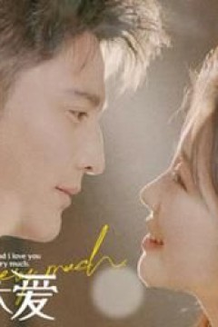 闪婚而已，霍先生别太爱