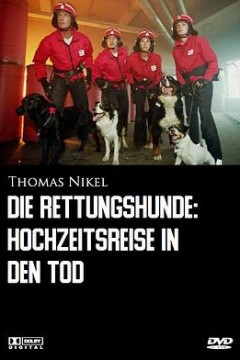 侠肝义犬(国语版)