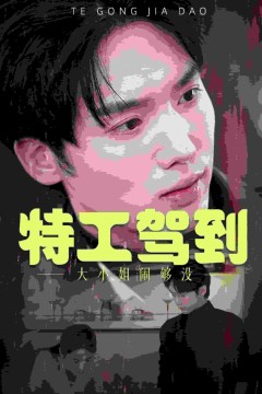 特工驾到大小姐别闹了