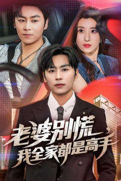 老婆别慌我全家都是高手