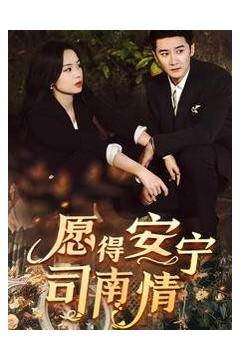 愿得安宁司南晴