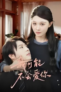 我可能不会爱你