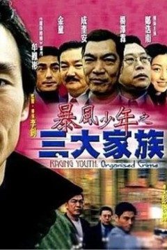暴风少年之三大家族2001
