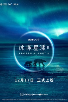 冰冻星球第二季
