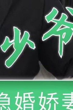 萧少爷的隐婚娇妻