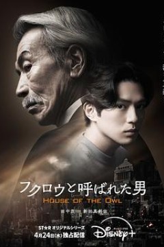 那个叫猫头鹰的男人